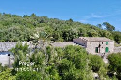 Finca rústica con potencial! vendido